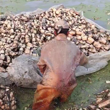 三五