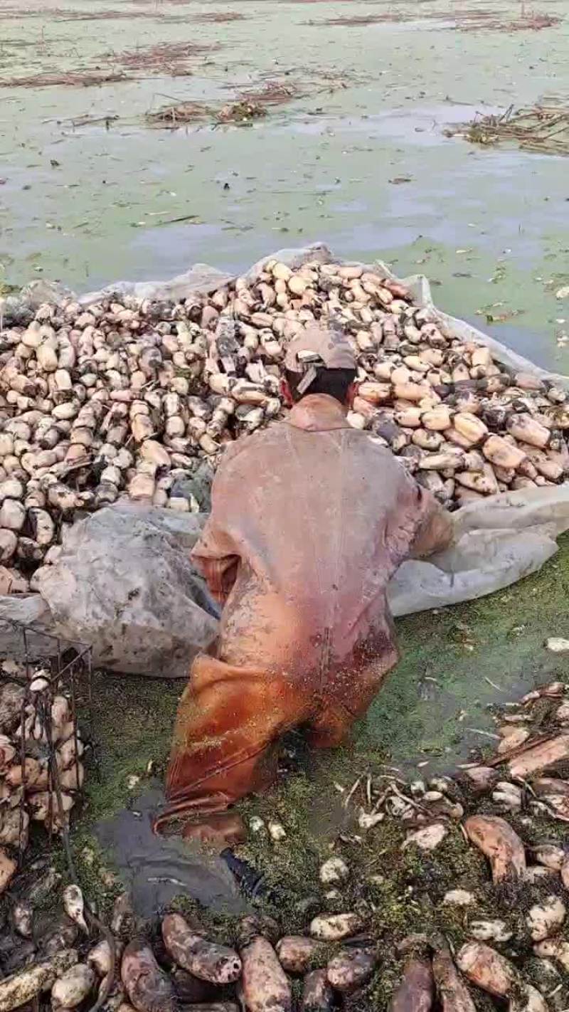 三五