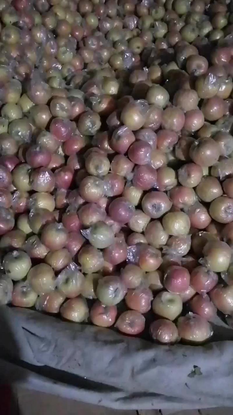 苹果