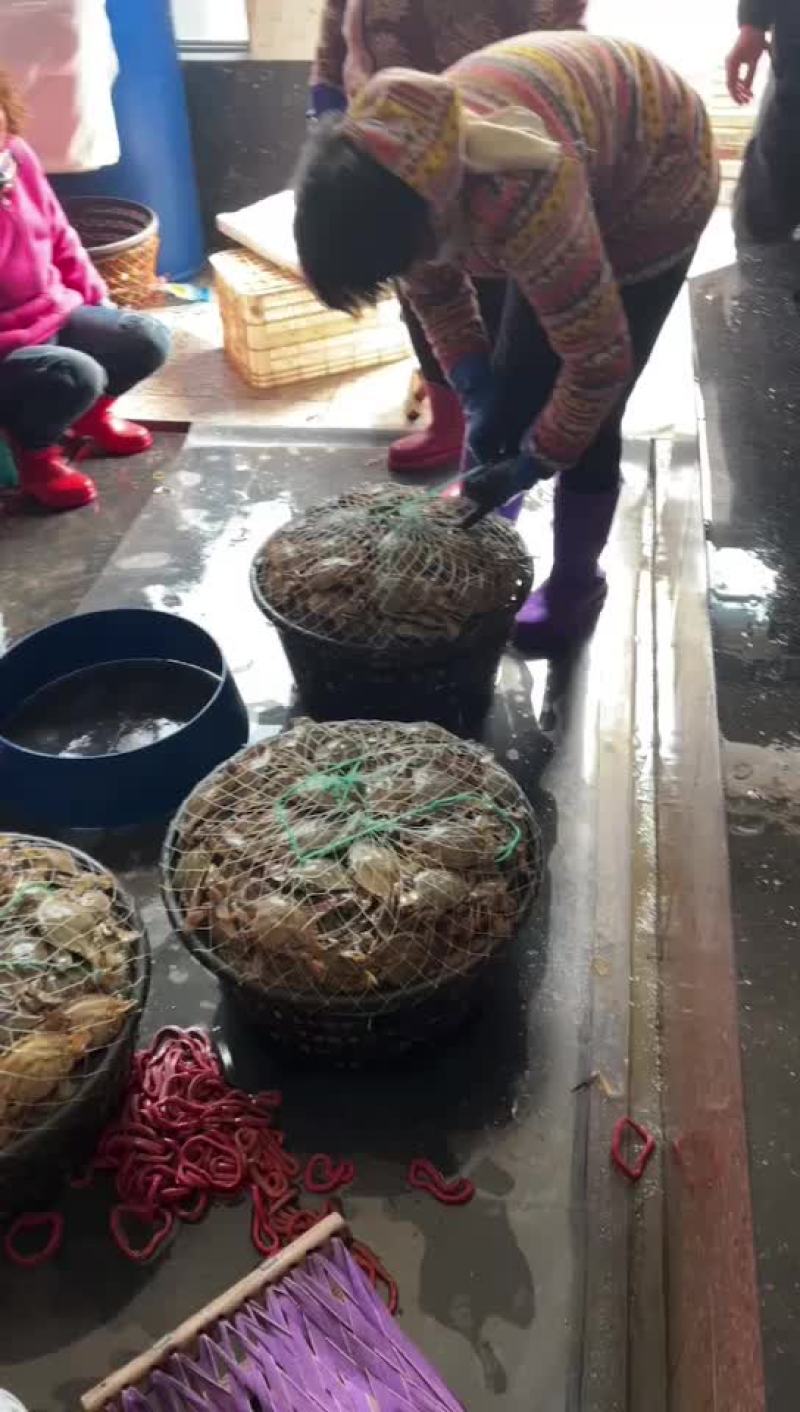 125g-150g红膏蟹净蟹超市专用