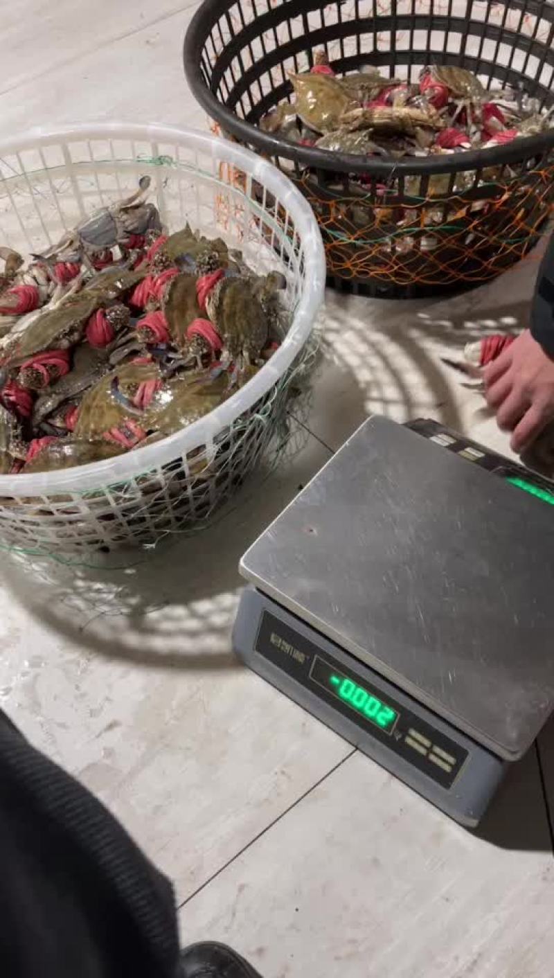 125g-150g红膏蟹净蟹超市专用