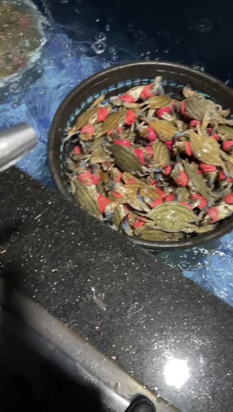 125g-150g红膏蟹净蟹超市专用