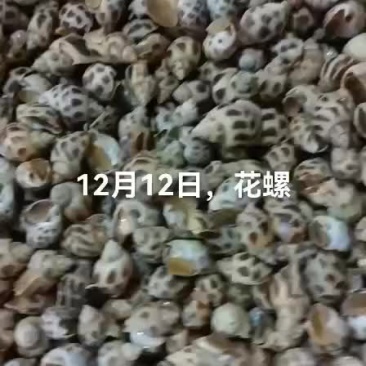花螺