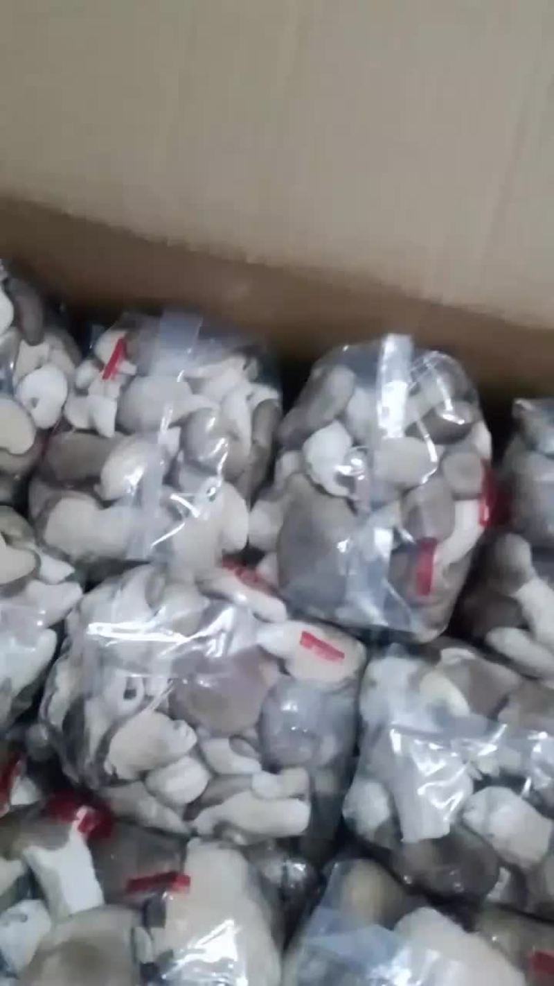 产地自销各种包装秀珍菇小黑平