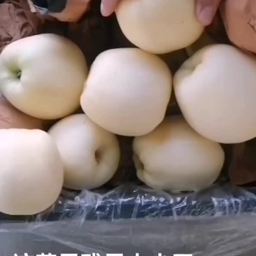 黄元帅苹果
