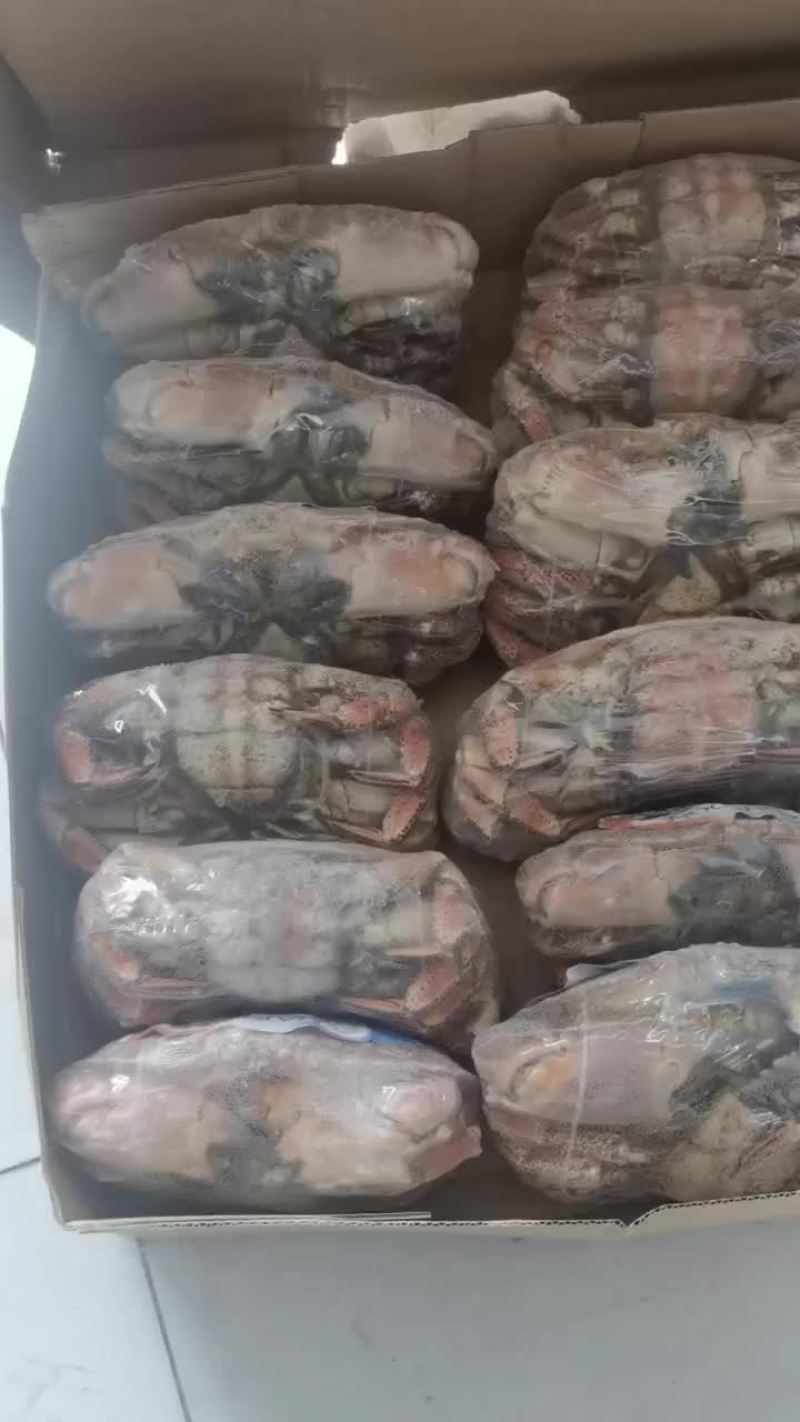 面包蟹礼盒必备