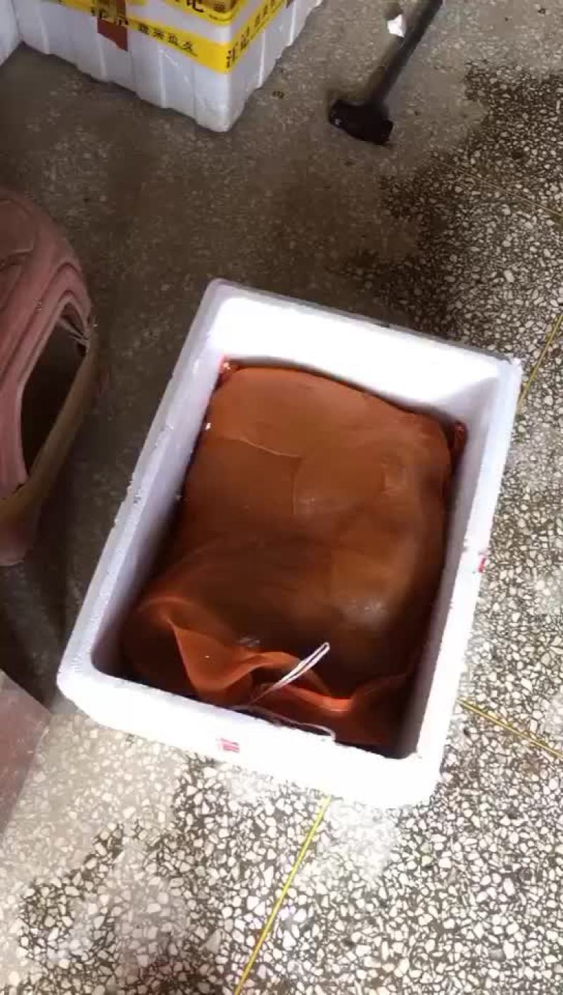 卤甲鱼批发，外塘小甲鱼，塘口现抓现杀，量大从优