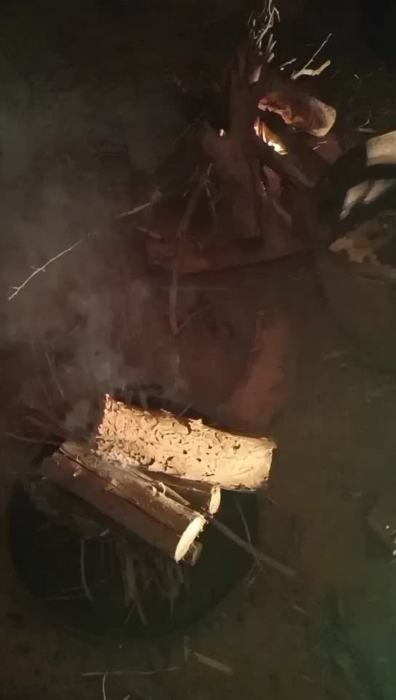 熏马肉