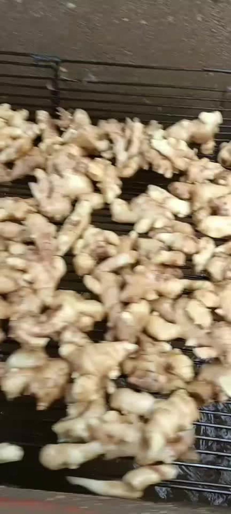鲜姜