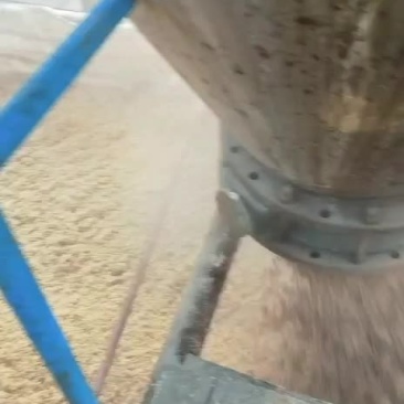 广东肇庆市蓝带啤酒有限公司