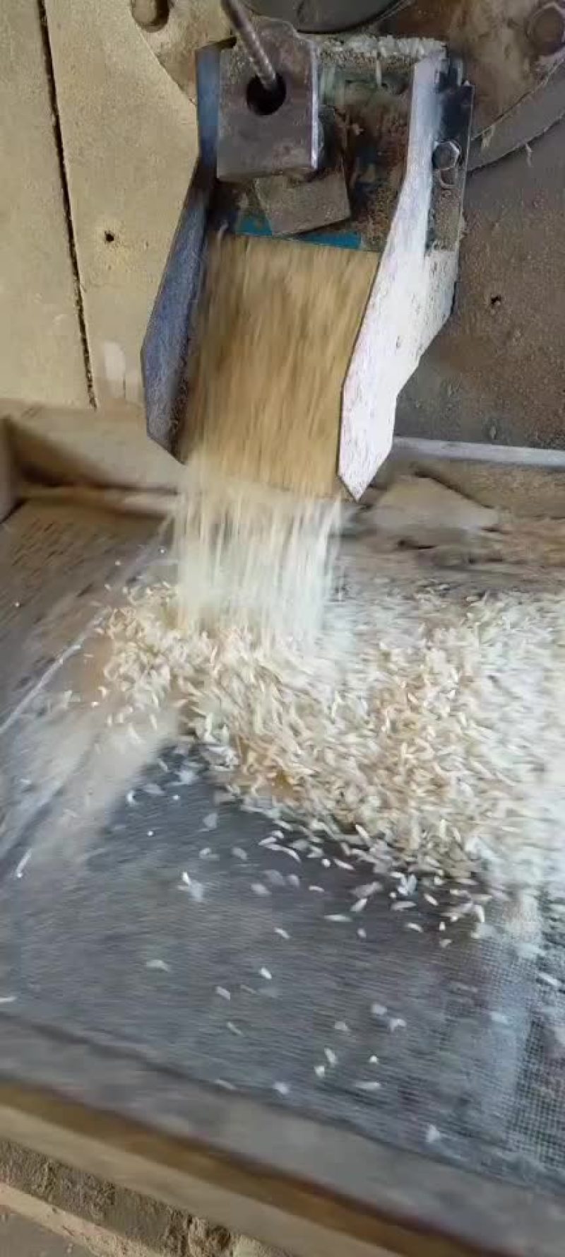 软米