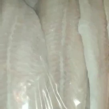 鱼柳