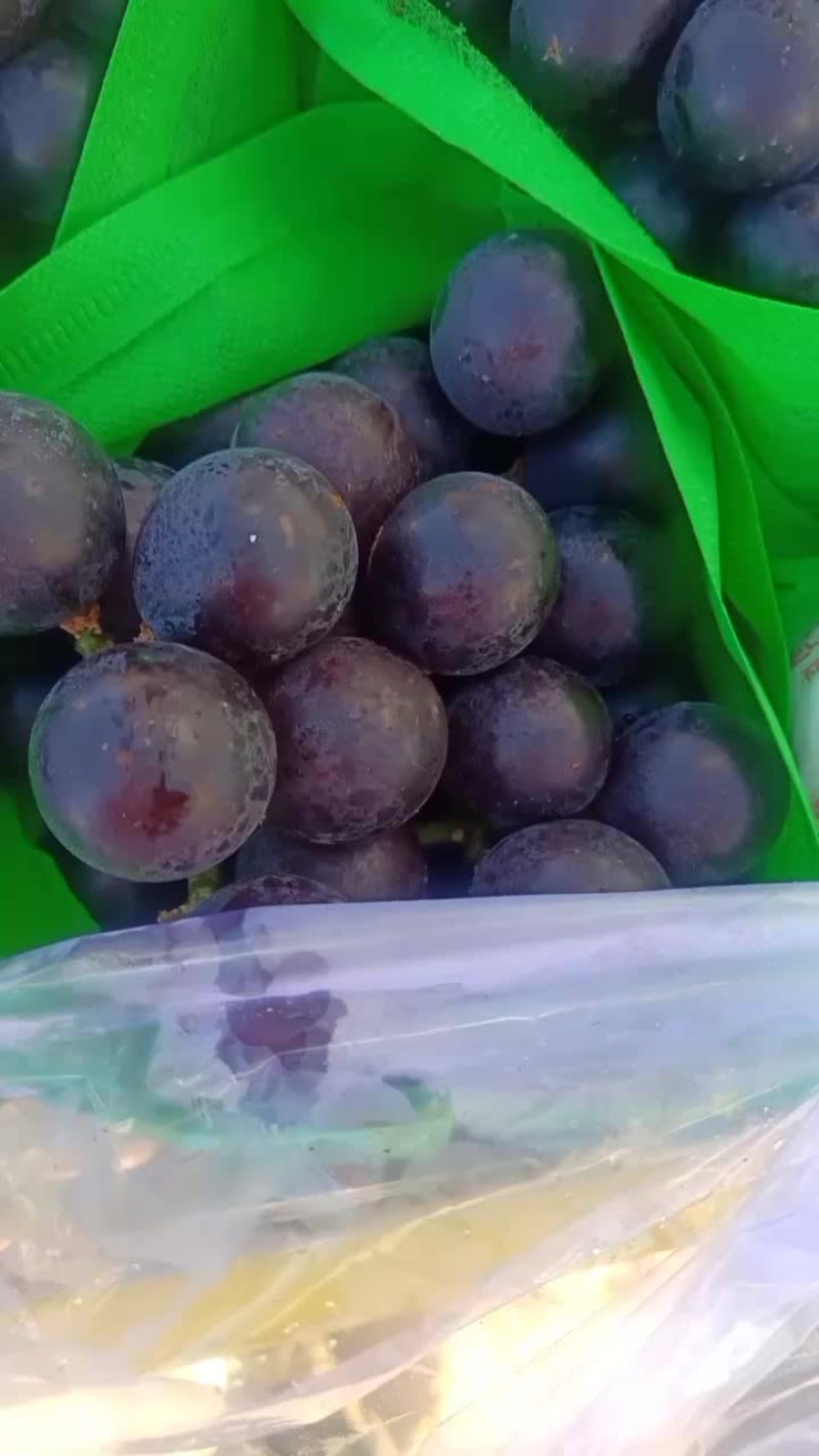 巨峰葡萄