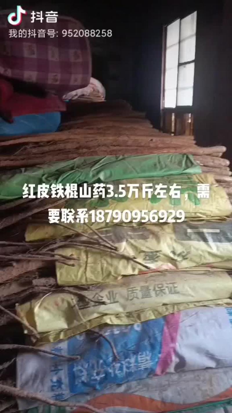 铁棍山药