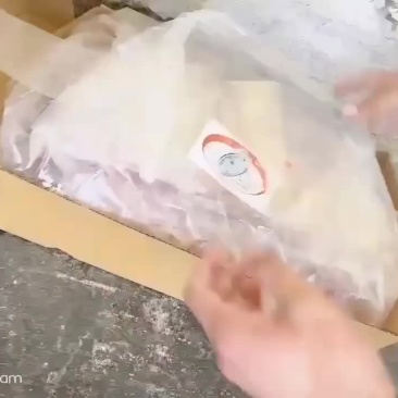 肋排