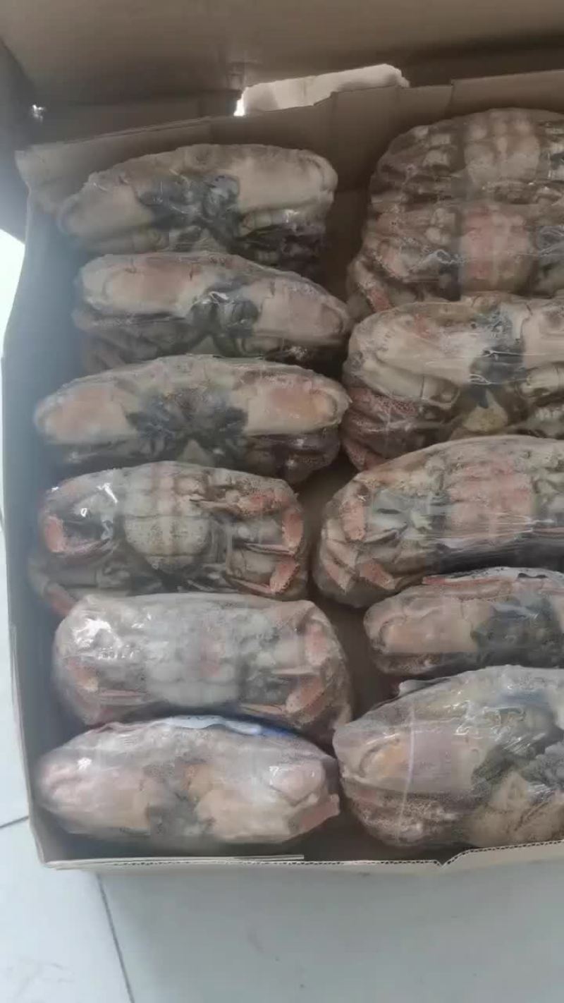 面包蟹低于成本价清仓捡漏来