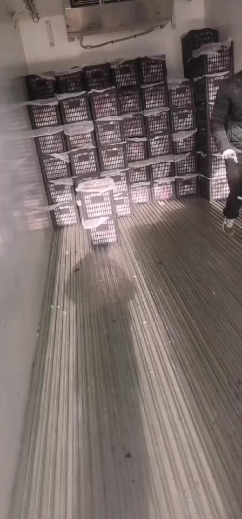 盖县韩富苹果专业代办代发诚信经营保证质量