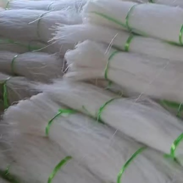 我想卖土豆粉条