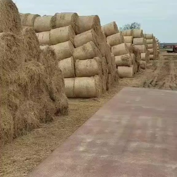 优质干稻草，无土无霉变价格理欢迎您的光临