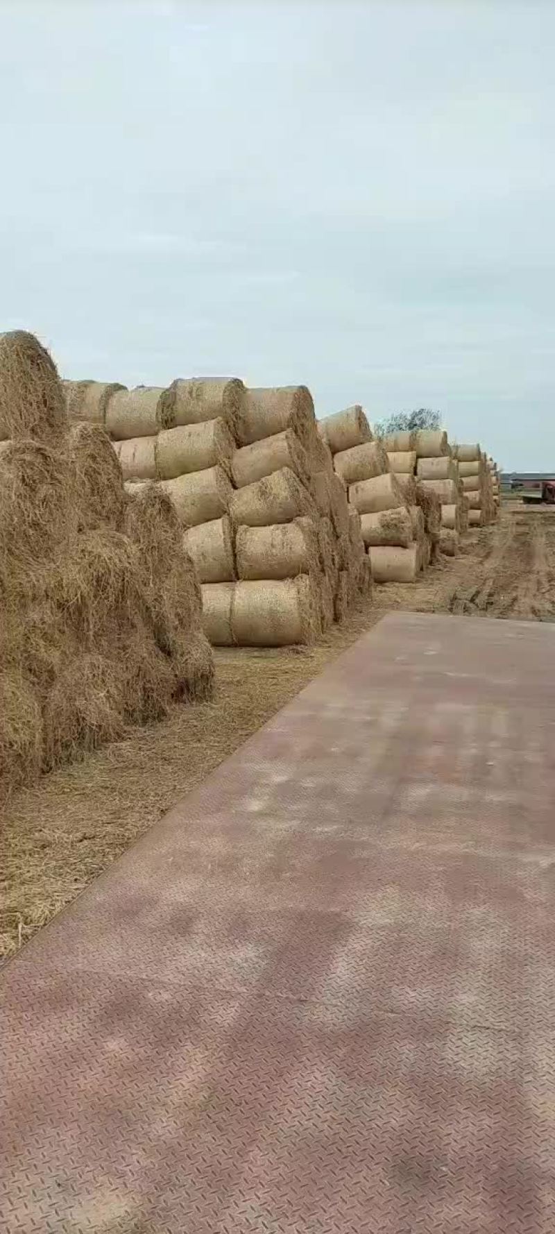 优质干稻草，无土无霉变价格理欢迎您的光临