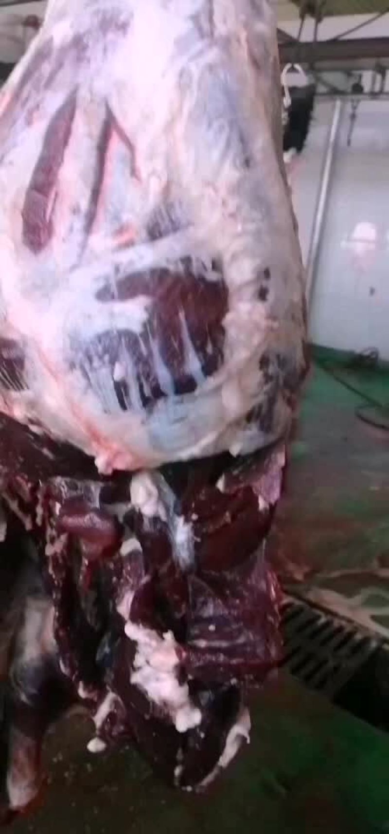 牦牛肉