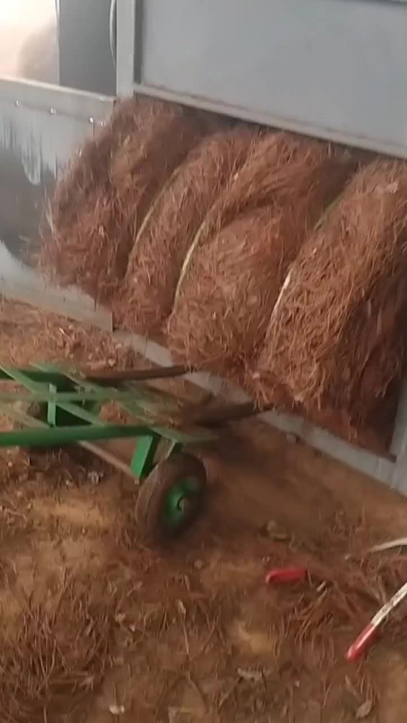 松针