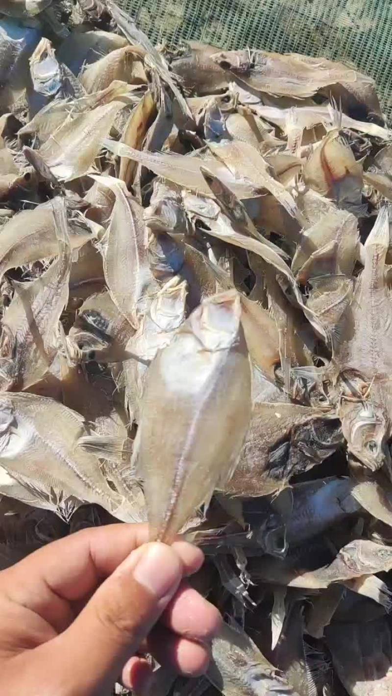 鱼干长脖鱼干偏口鱼干比目鱼