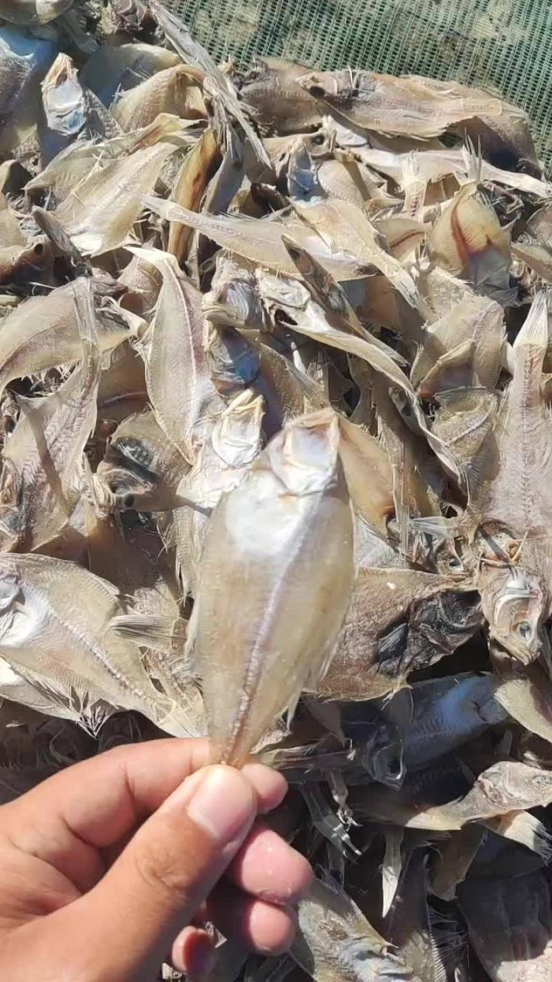 鱼干长脖鱼干偏口鱼干比目鱼