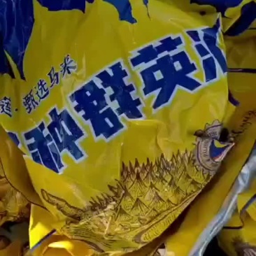 天津地区支持自提！