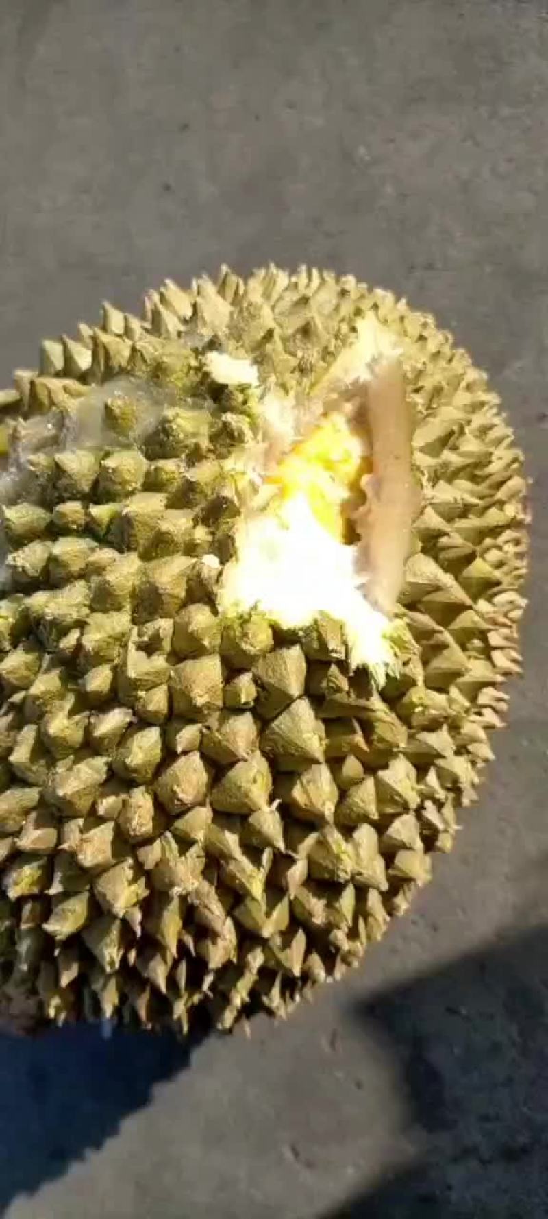 天津地区支持自提！