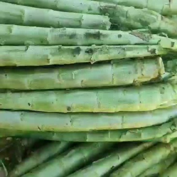 精品杆子，产地直销，货源充足，合作共赢，