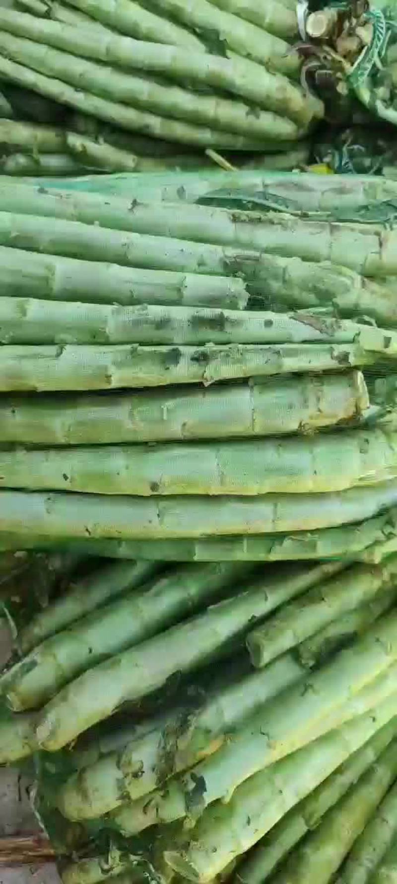 精品杆子，产地直销，货源充足，合作共赢，