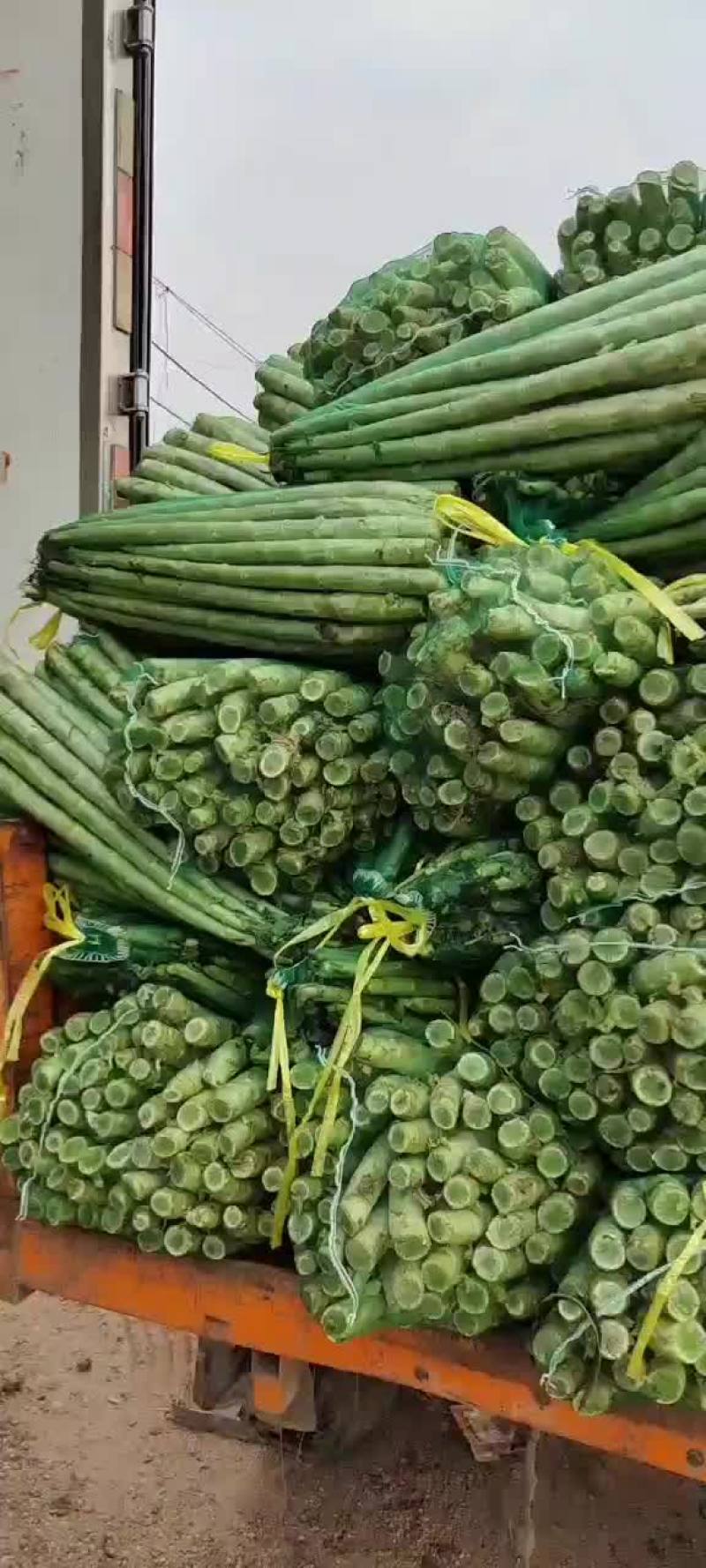 精品杆子，产地直销，货源充足，合作共赢，