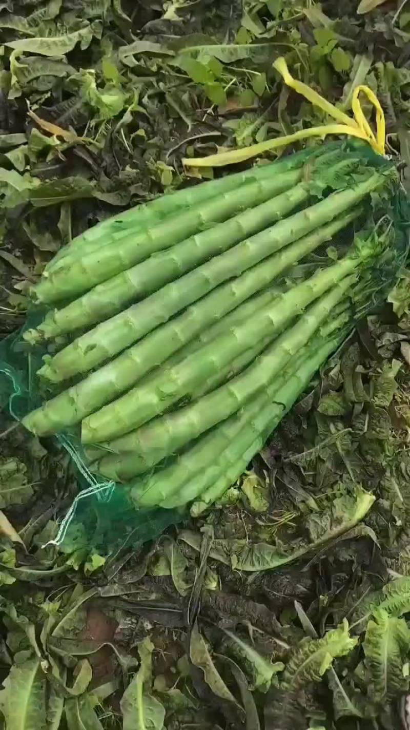 精品杆子，产地直销，货源充足，合作共赢，