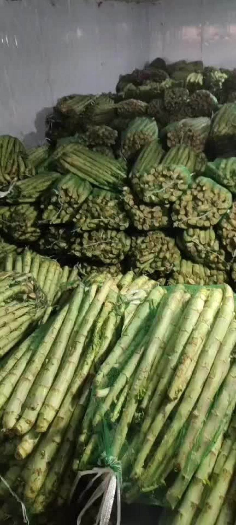 精品杆子，产地直销，货源充足，合作共赢，
