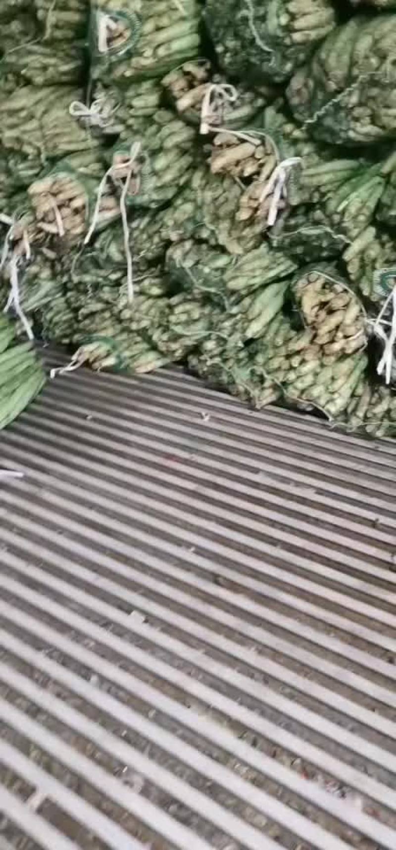 精品杆子，产地直销，货源充足，合作共赢，