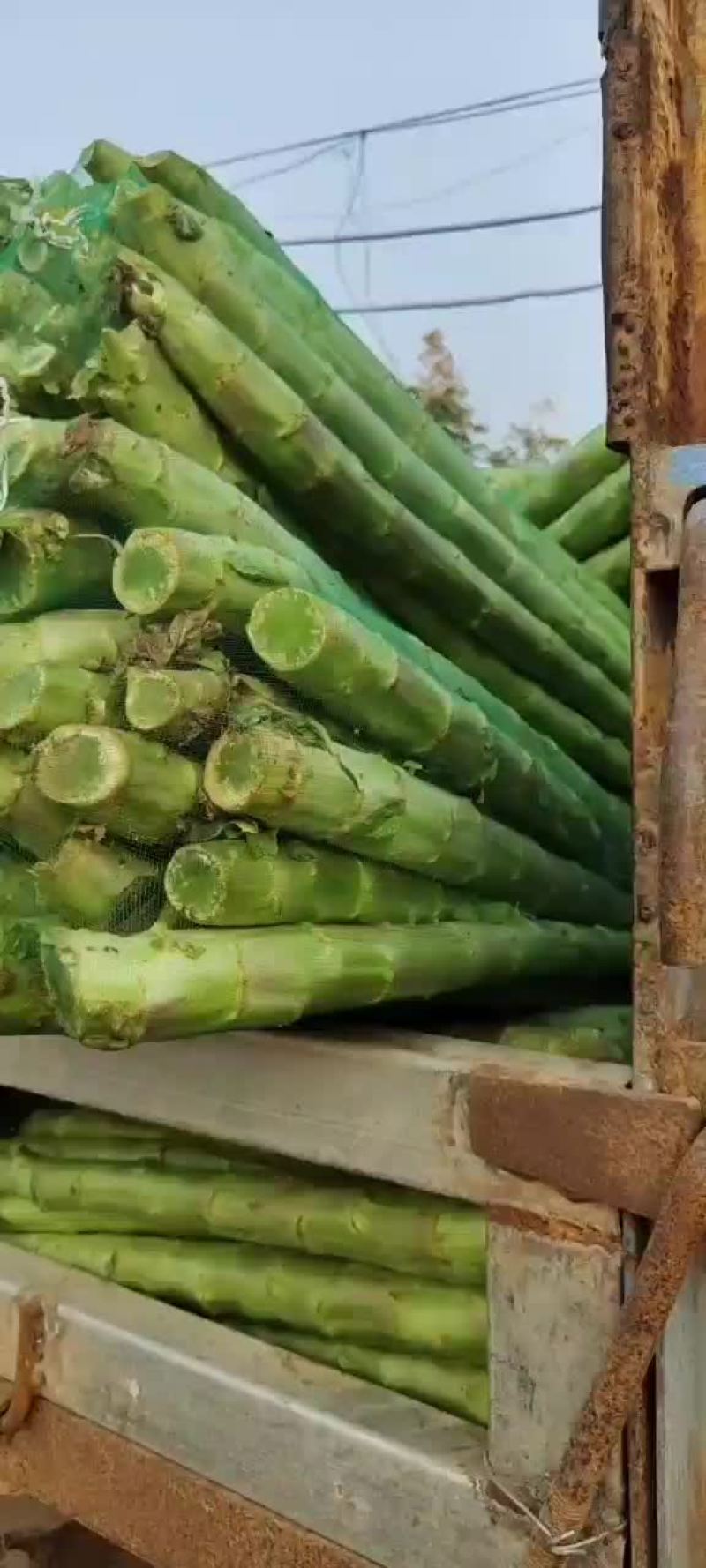 精品杆子，产地直销，货源充足，合作共赢，