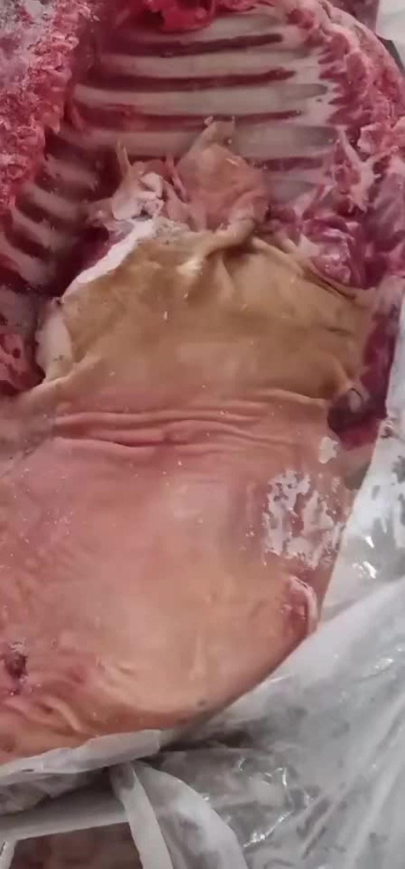 带皮羊肉