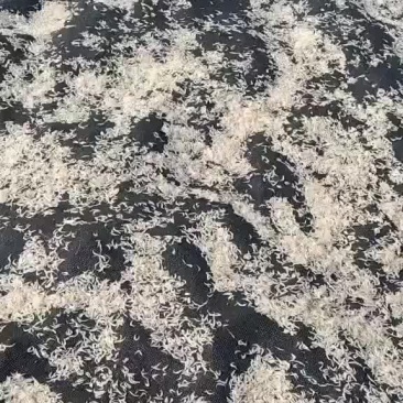 海鲜干货虾皮
