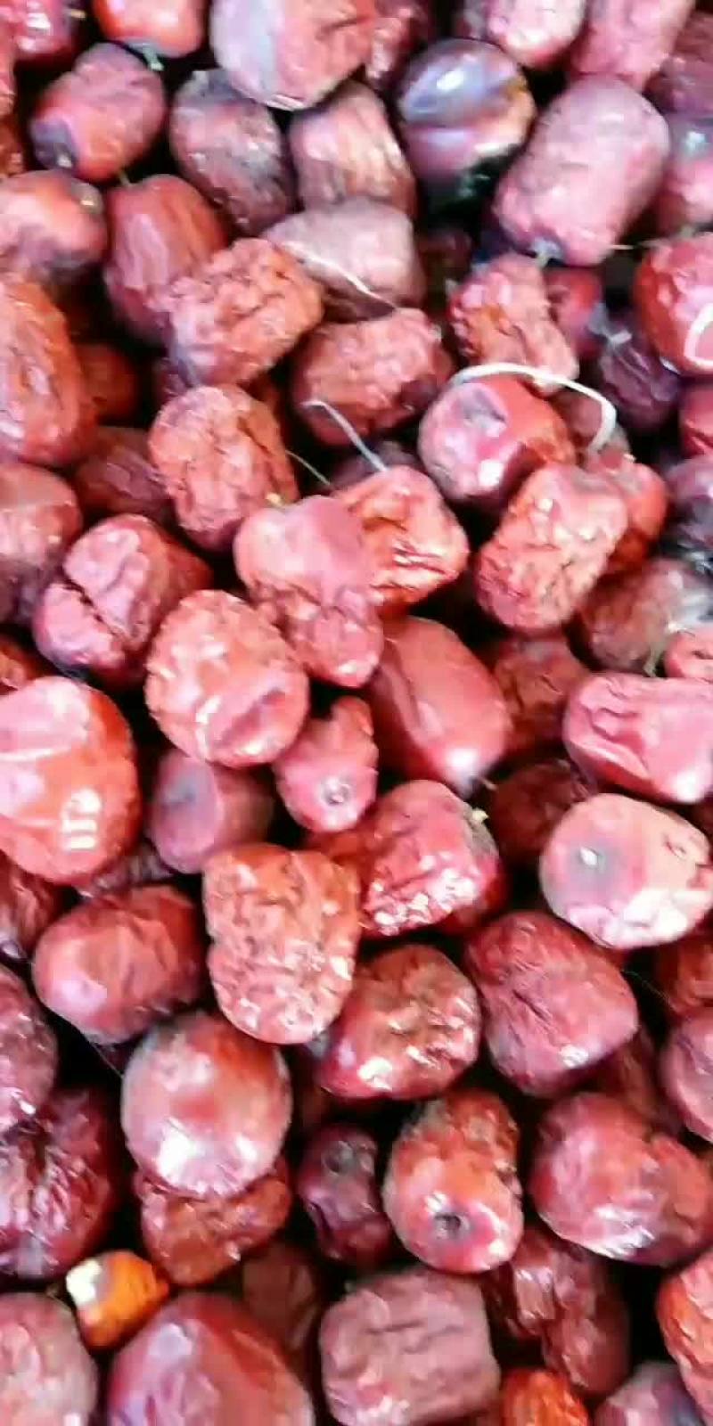 临泽县红枣