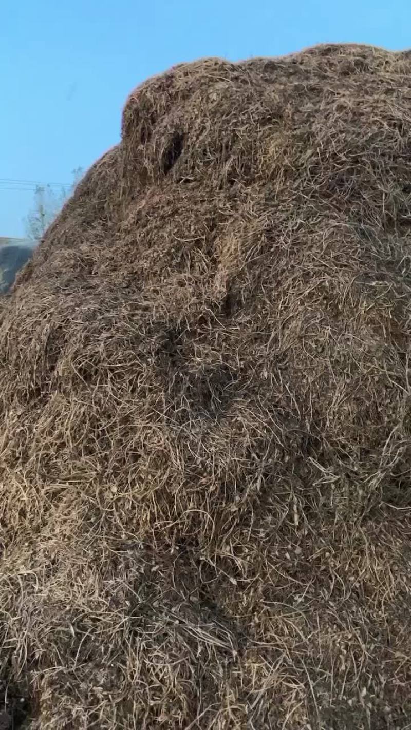 花生秧