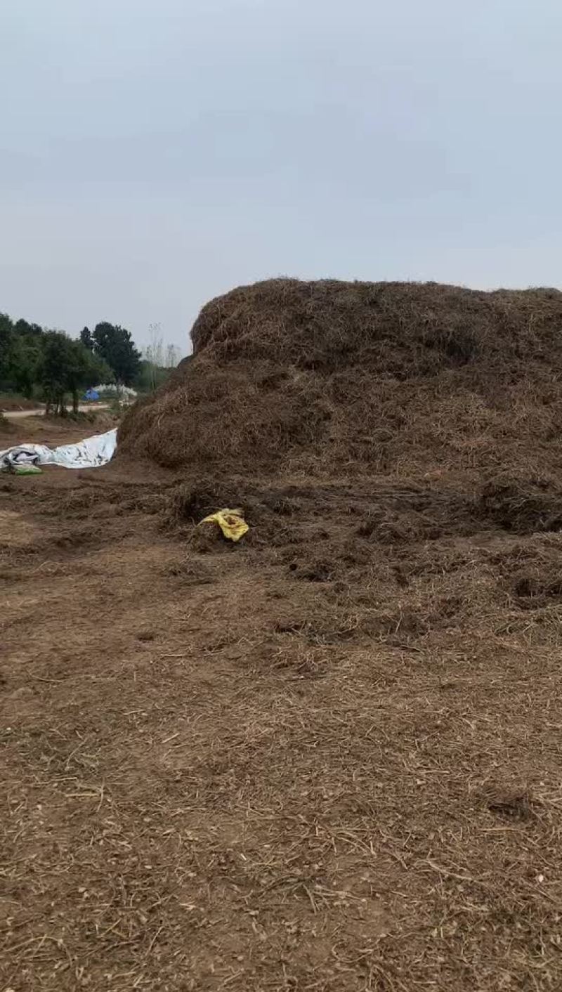 花生秧