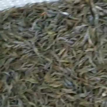 糠虾鲜活，虾米，高成活率，大湖虾