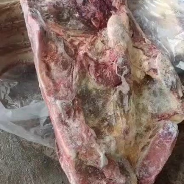 多肉牛排现货实拍