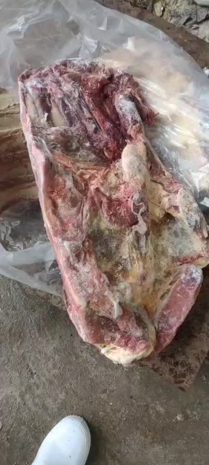 多肉牛排现货实拍