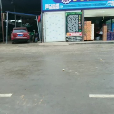 新彊香梨代卖。