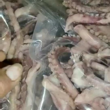 鱿鱼须