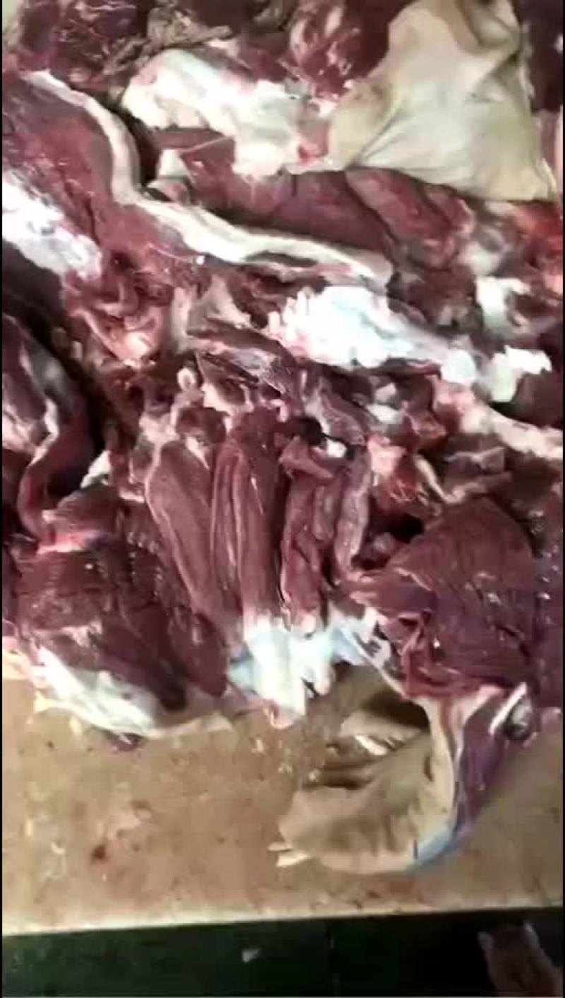 羊白条，大羊白条，30斤以上的，质量很好的
