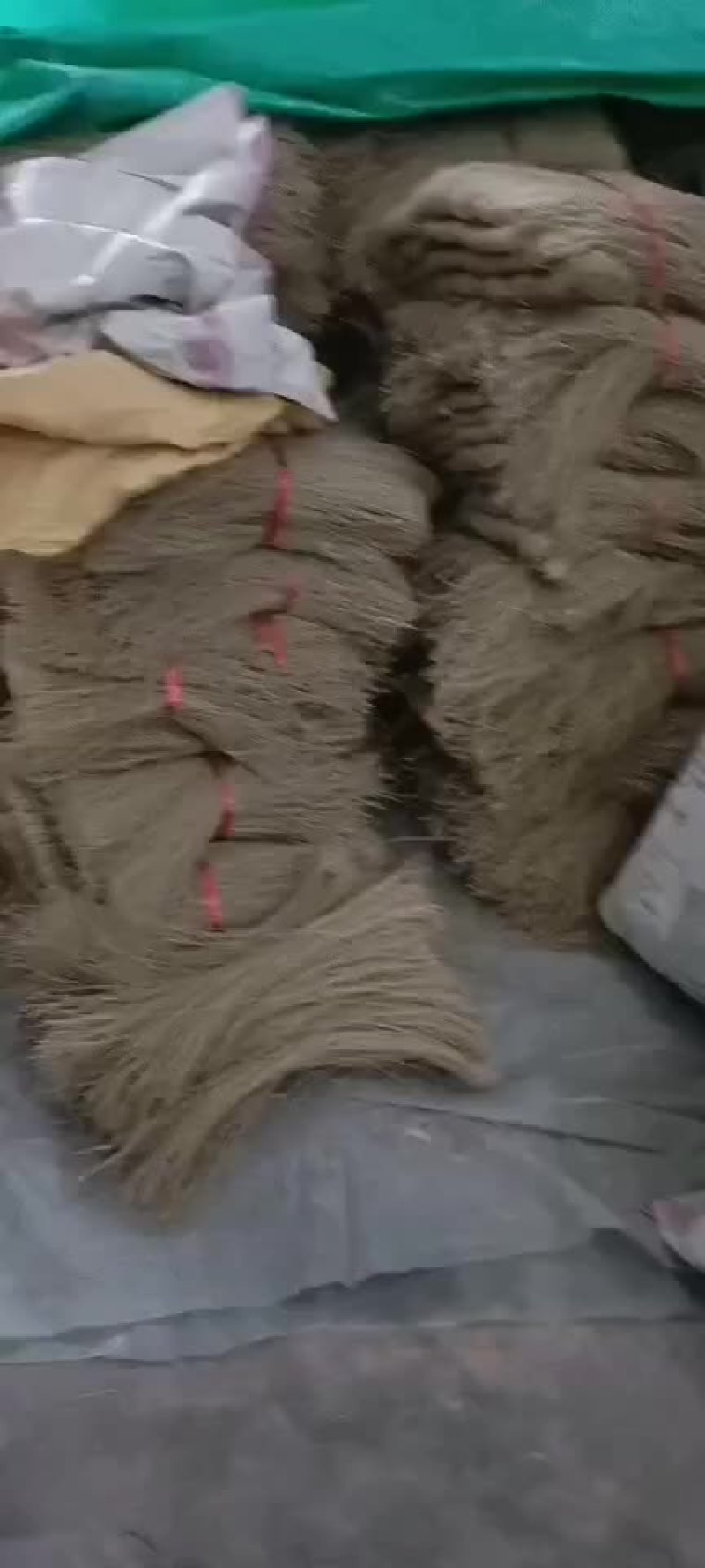山亭红薯粉条