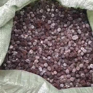 广西纯羊粪有机肥料